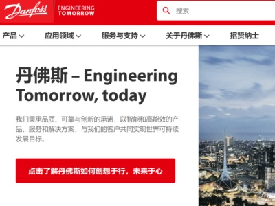 丹佛斯國際有限公司