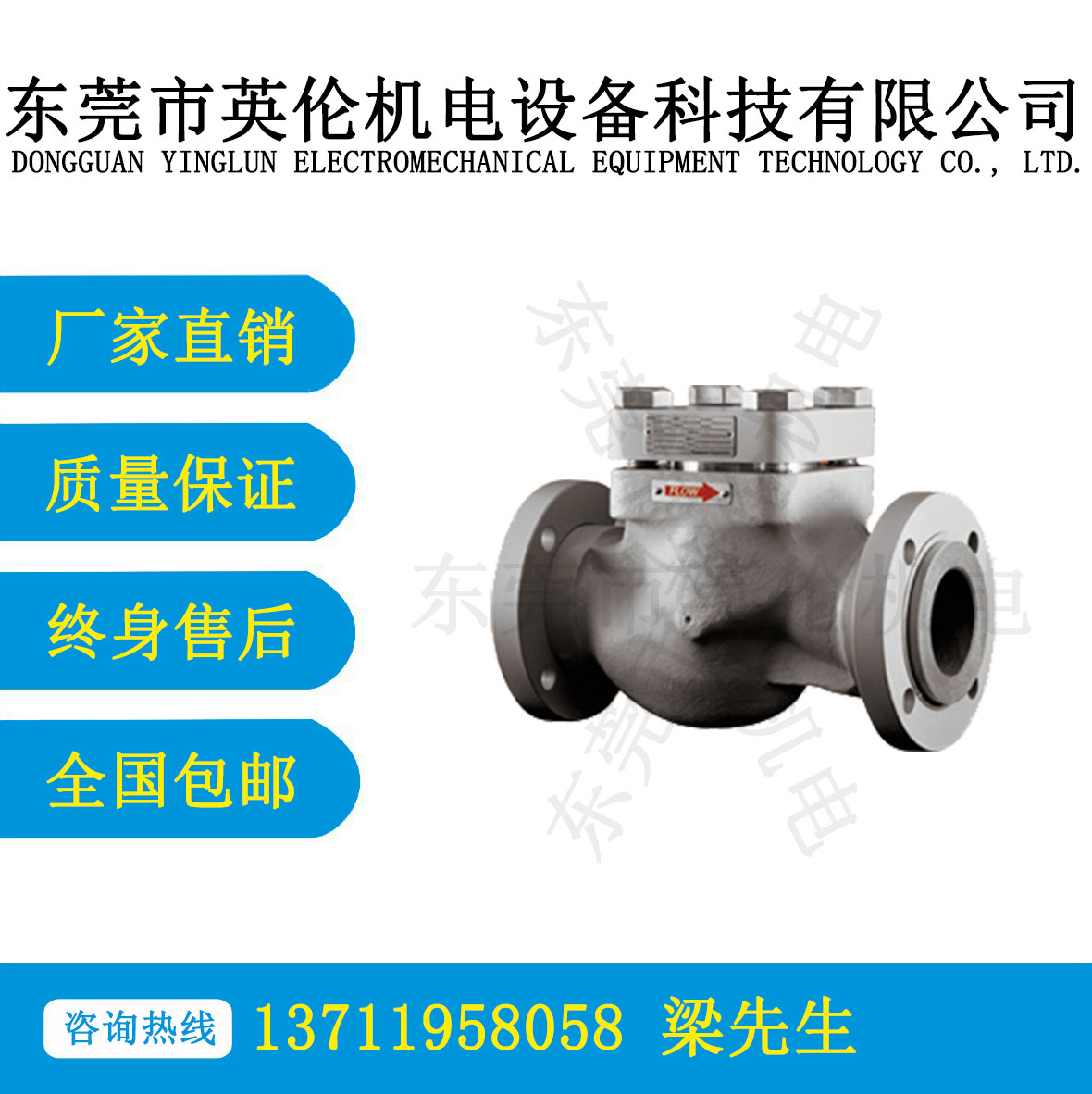 F650係列鑄鋼（gāng）止回閥