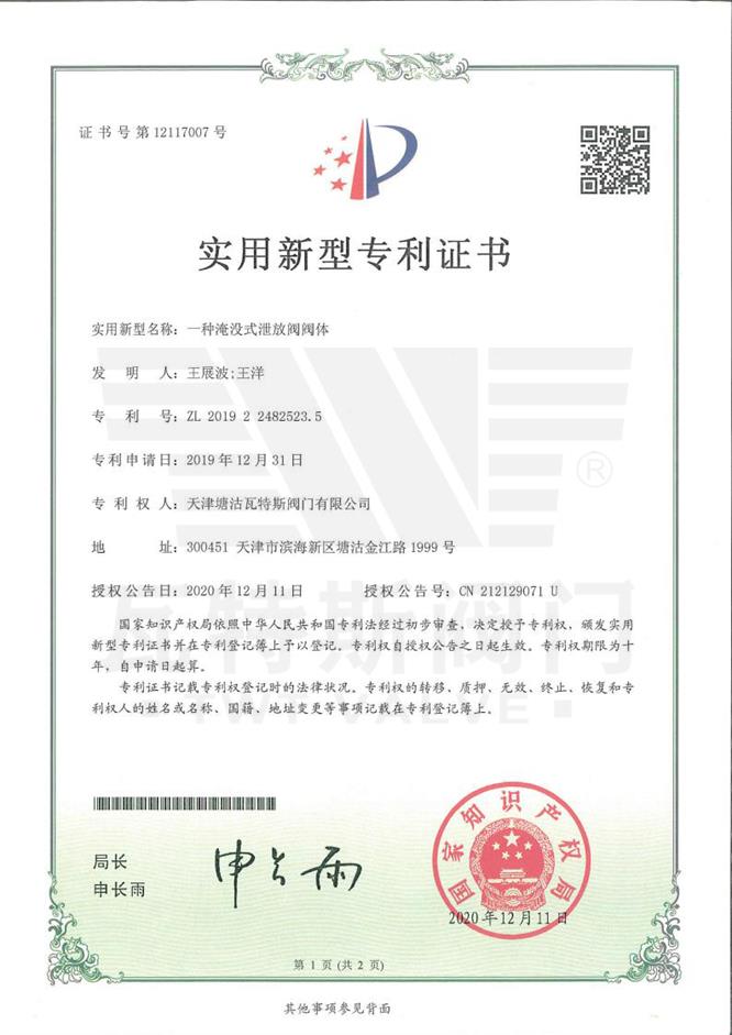 一種淹（yān）沒（méi）式泄放閥閥體