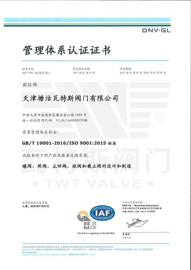 ISO-19001：2015質量體（tǐ）係認證中文