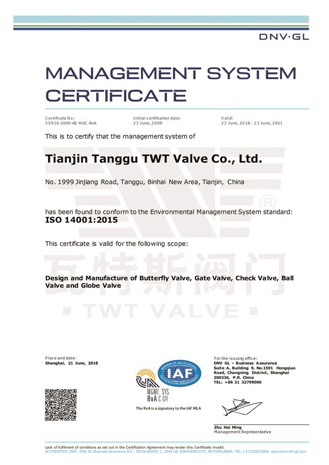 ISO14001：2015環境體係認證英文（wén）